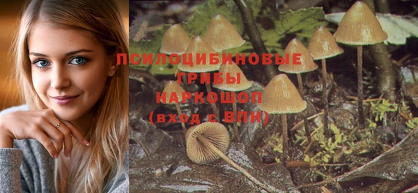 трава Алексин