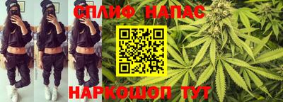 сатива Абинск
