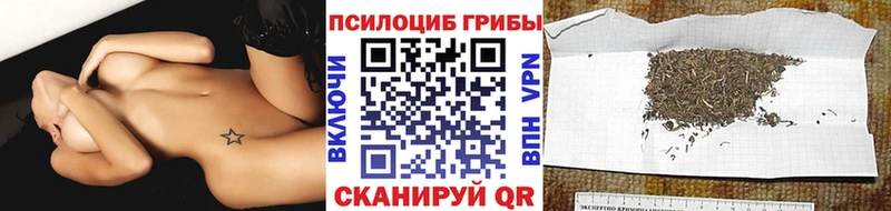 даркнет Telegram  Амурск  Галлюциногенные грибы Cubensis 