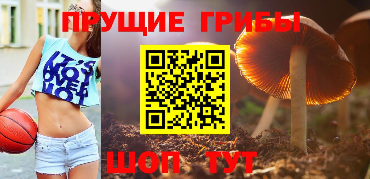 Амурск  Галлюциногенные грибы Magic Shrooms  Вход с VPN 